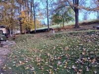 20251018_134004 (1024x768).jpg